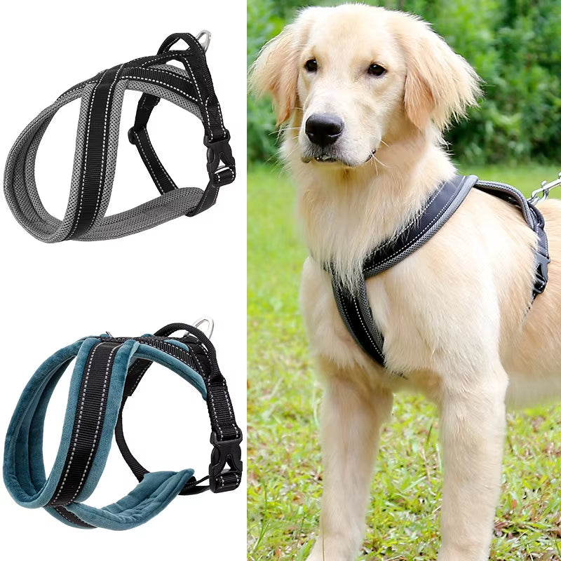 Trail Companion Gear