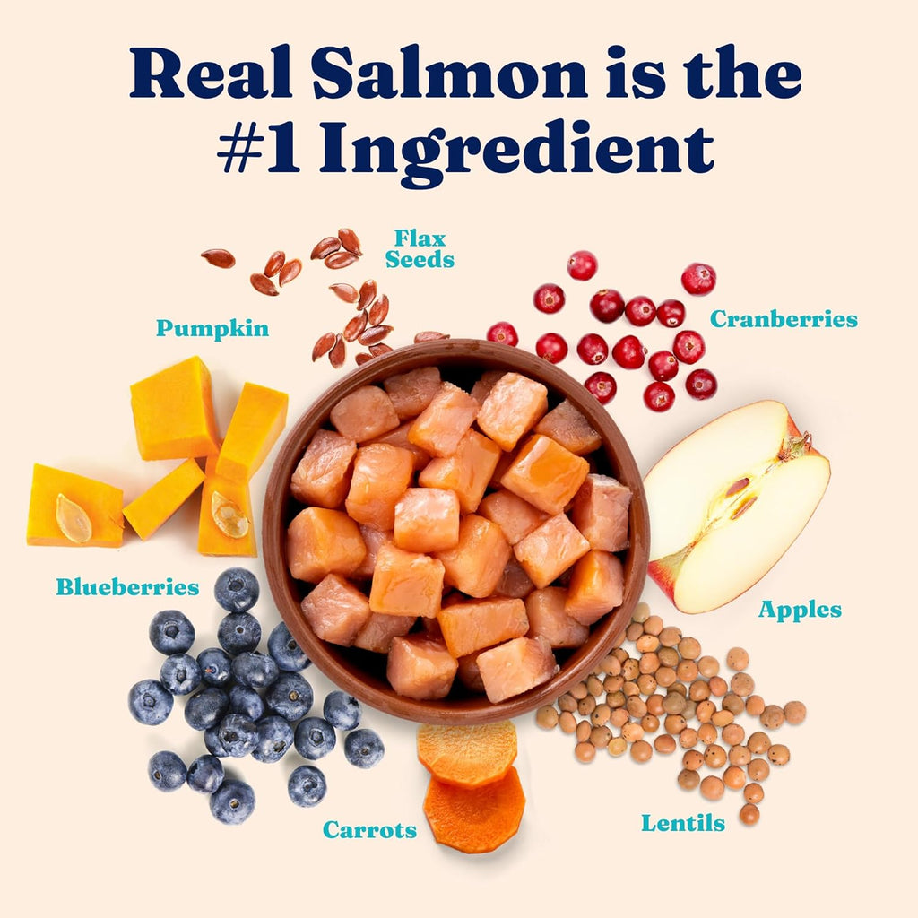 Indoor Dry Cat Food - Grain Free & Gluten Free - Salmon Cat Food Dry Kibble for Indoor Cats W/Probiotics & Fiber for Gut Health - Sensitive Stomach & Hairball Support for Adult Cats - 12LB