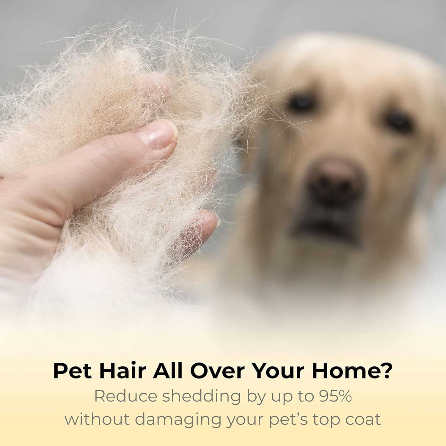 Best Professional De-Shedding Tool and Pet Grooming Brush, D-Shedz for Breeds of Dogs, Cats with Short or Long Hair, Small, Medium and Large (Yellow)