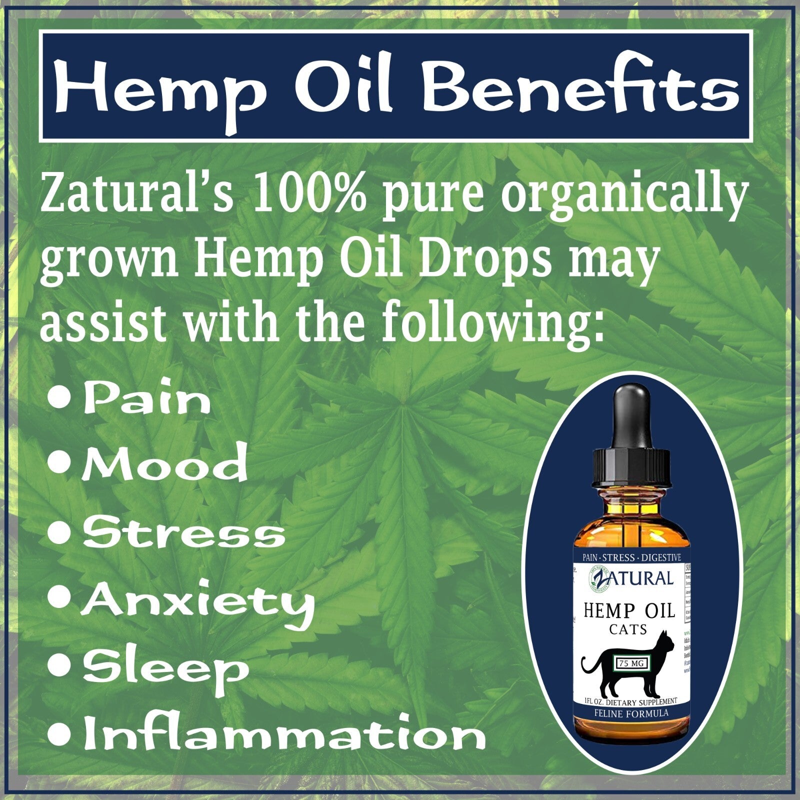 Feline Oil Drops - Pet Wellness