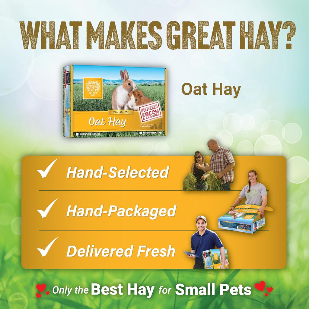 Oat Hay Pet Food, 10 Lb.