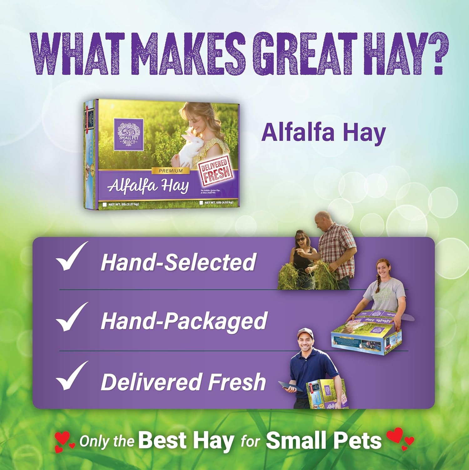 Alfalfa Hay Pet Food, 20 LB