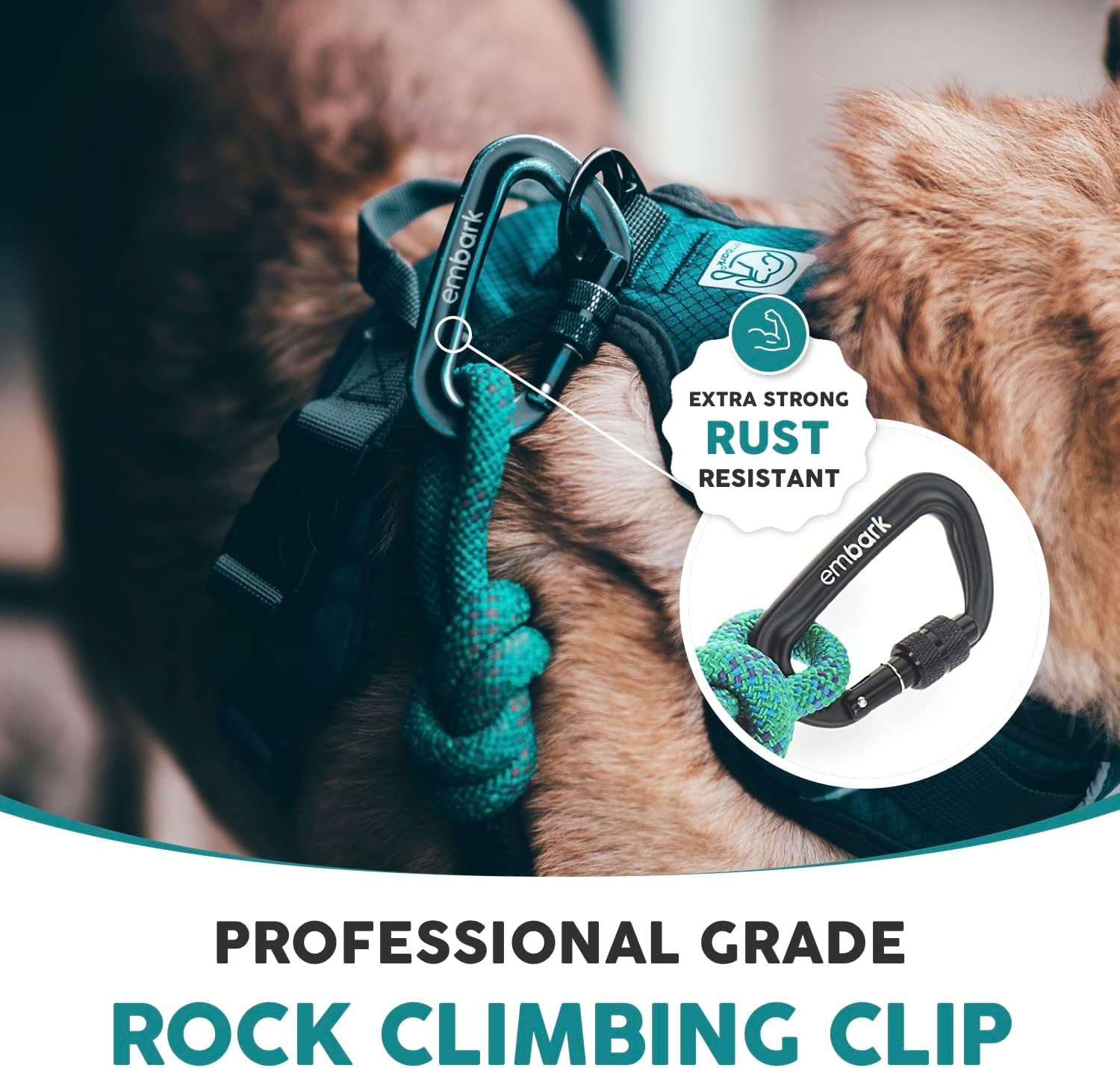 Embark Adventure Pro Leash with Mountain Climbing Rope and Carabiner. Unmatched Strength & Durability, 6Ft, Colourful, and Sturdy Nylon Dog Leashes for Small, Medium, Large Breed Dogs