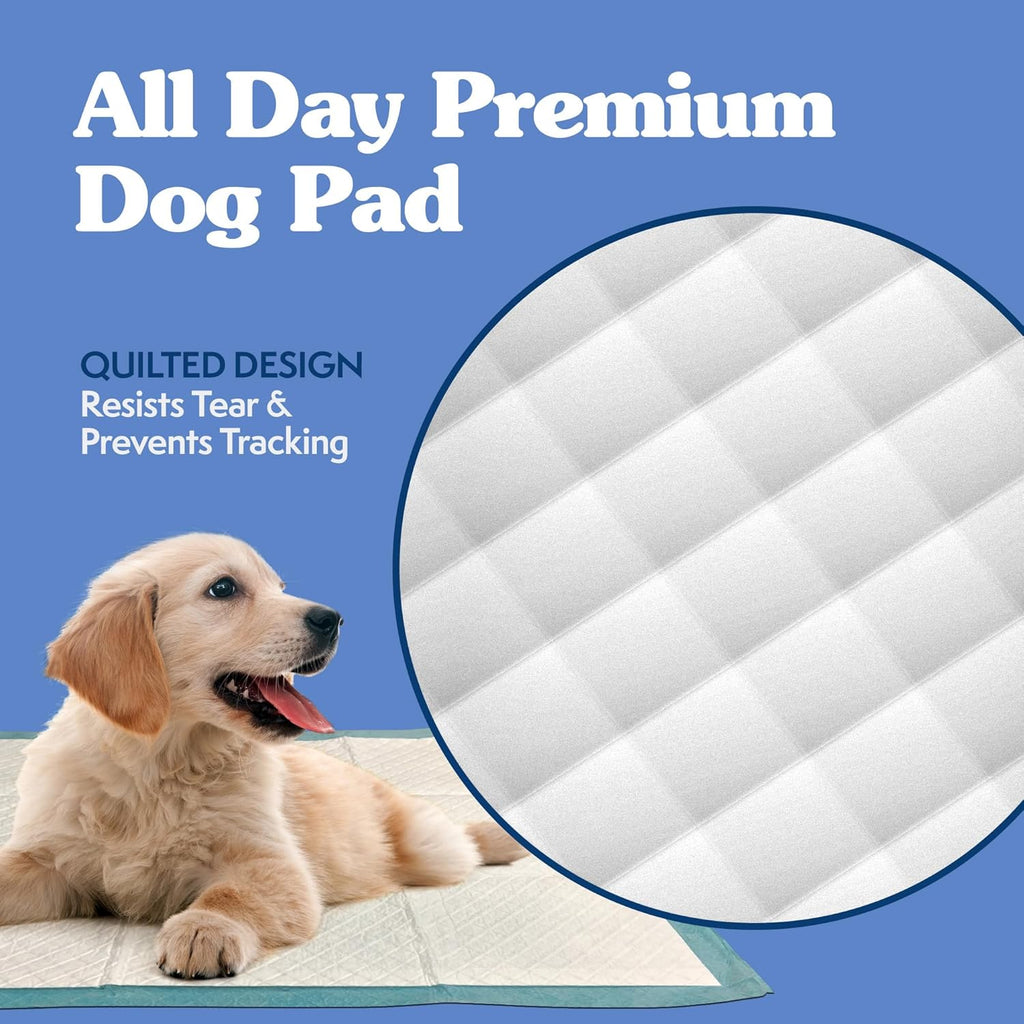 Extra Large Pee Pads for Dogs, Puppy Potty Training, Leak Proof Dog Pads, Pet Pee Pad, Disposable Puppy Pad, XLARGE 28"X30"