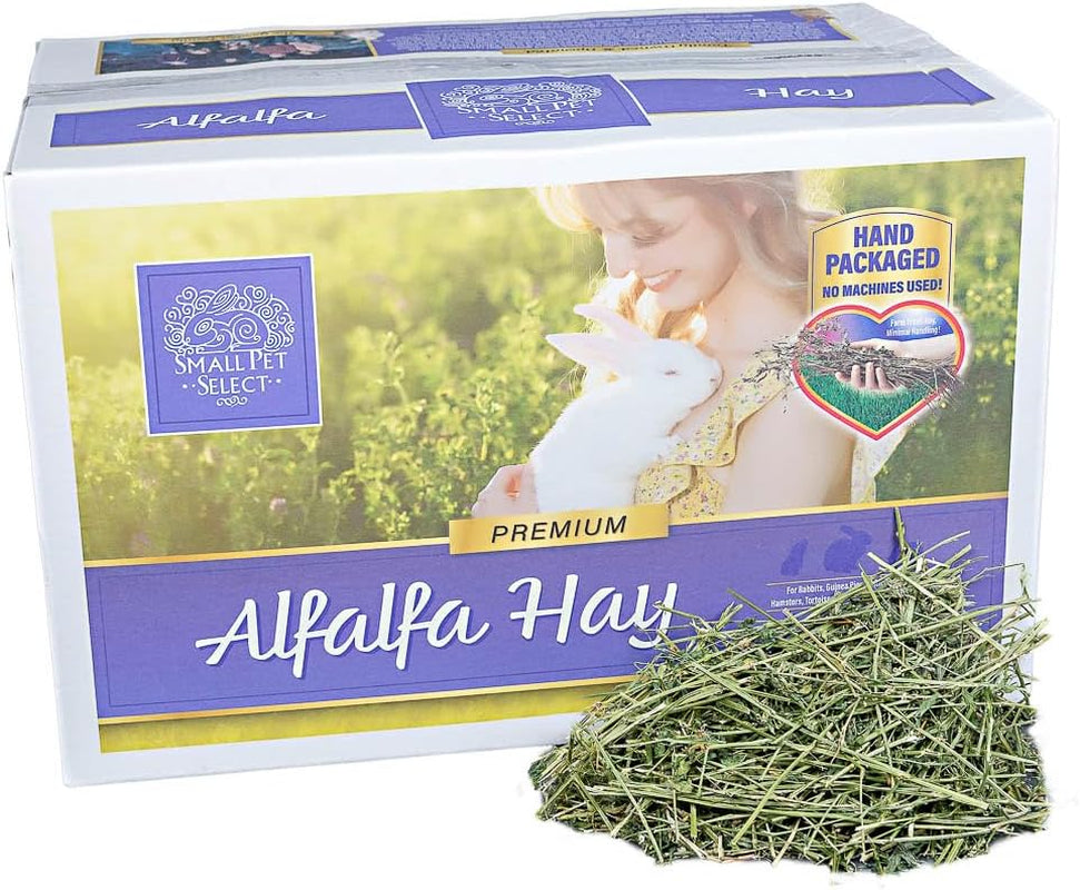 Alfalfa Hay Pet Food, 20 LB