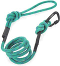 Embark Adventure Pro Leash with Mountain Climbing Rope and Carabiner. Unmatched Strength & Durability, 6Ft, Colourful, and Sturdy Nylon Dog Leashes for Small, Medium, Large Breed Dogs