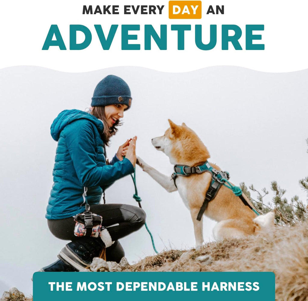 Embark Adventure Pro Leash with Mountain Climbing Rope and Carabiner. Unmatched Strength & Durability, 6Ft, Colourful, and Sturdy Nylon Dog Leashes for Small, Medium, Large Breed Dogs