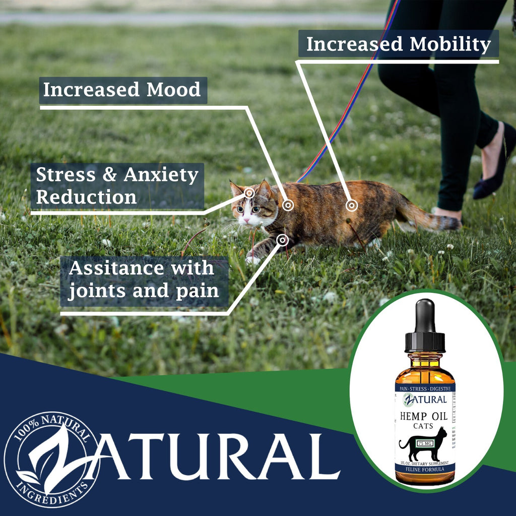 Feline Oil Drops - Pet Wellness