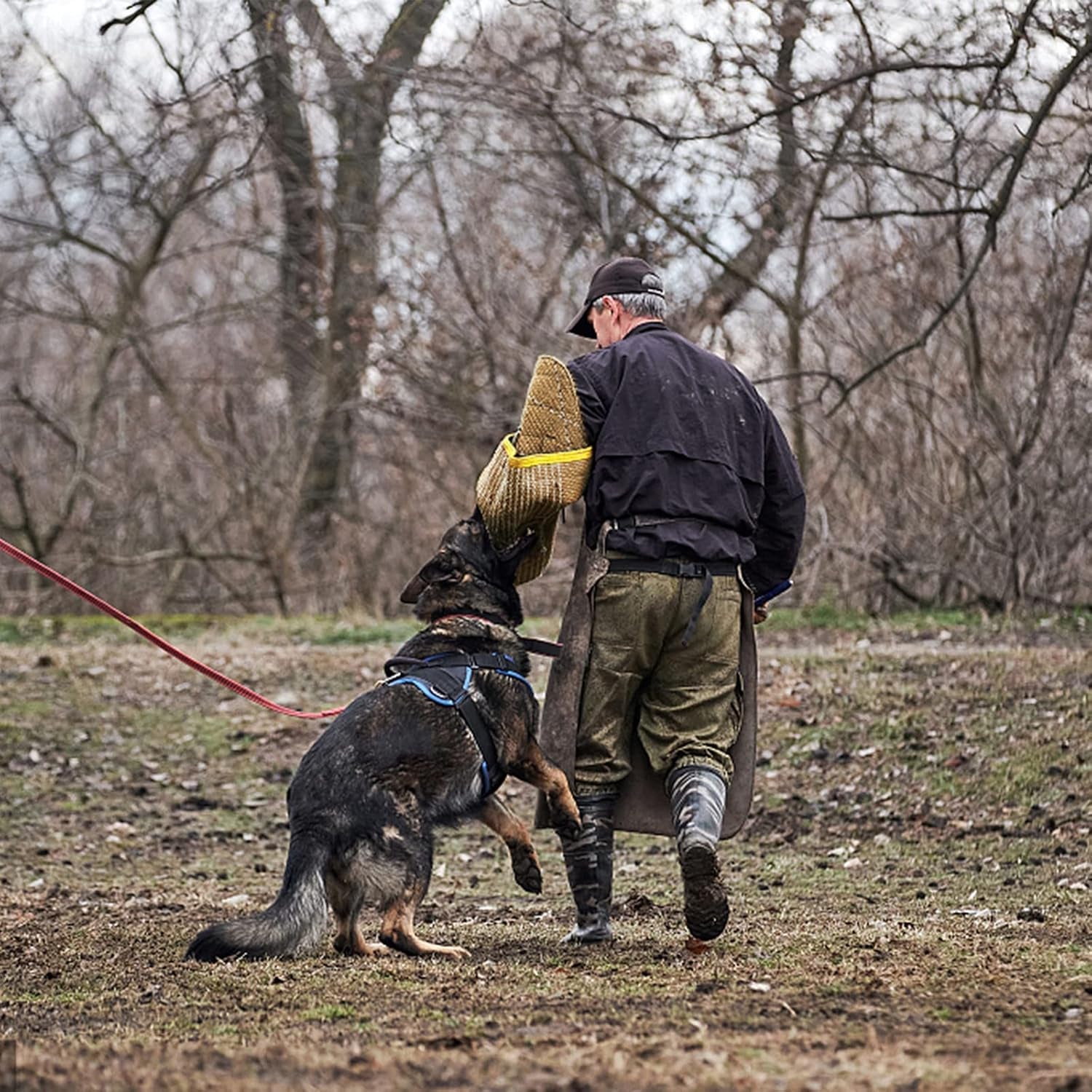 Dog Bite Training Set,Dog Bite Sleeve Training Protection Arm with Whip Agitation Stick,Professional Dogs Training Protection Biting Sleeve for Pitbull German Shepherd (Double-Layer)