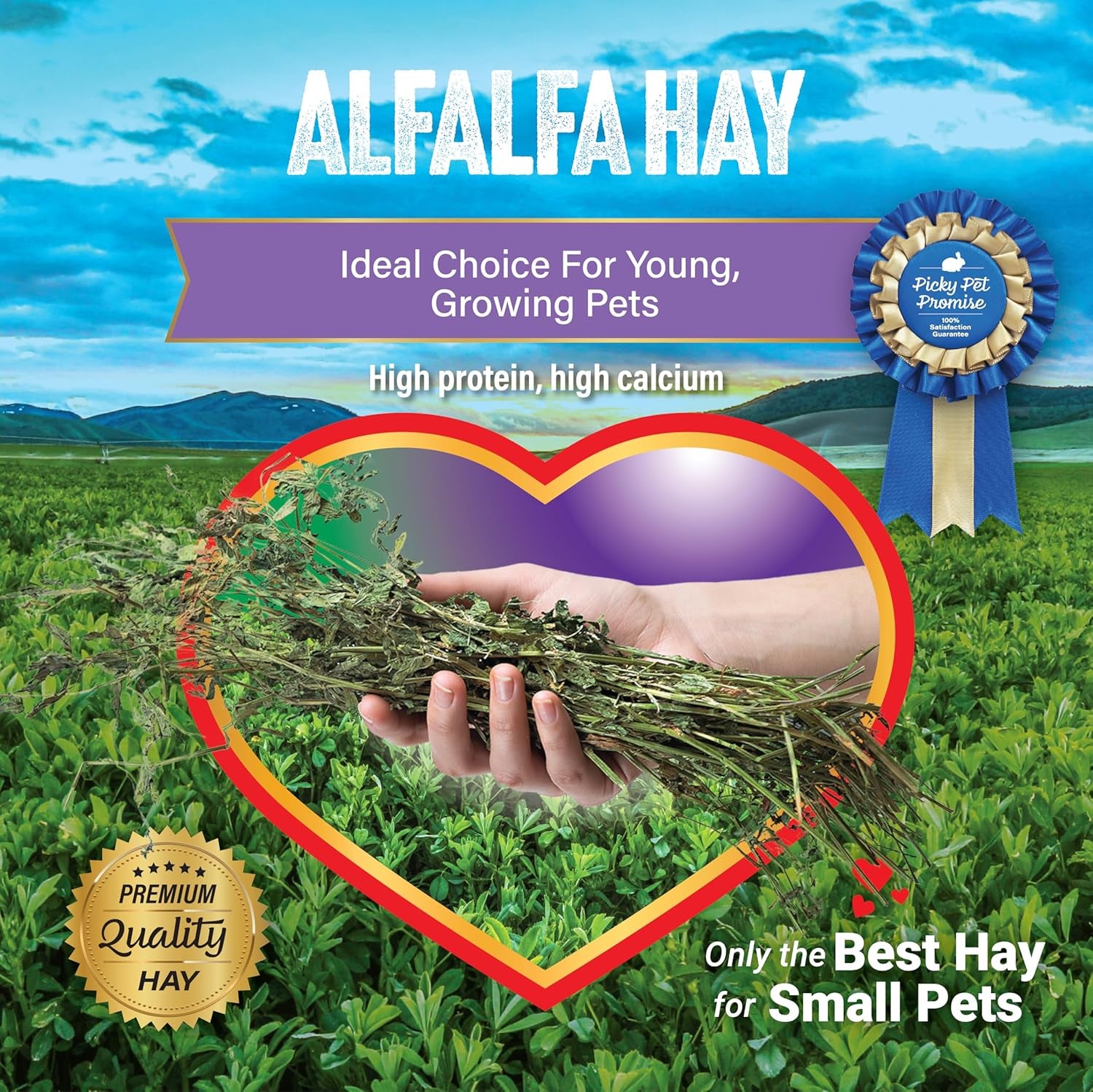 Alfalfa Hay Pet Food, 20 LB
