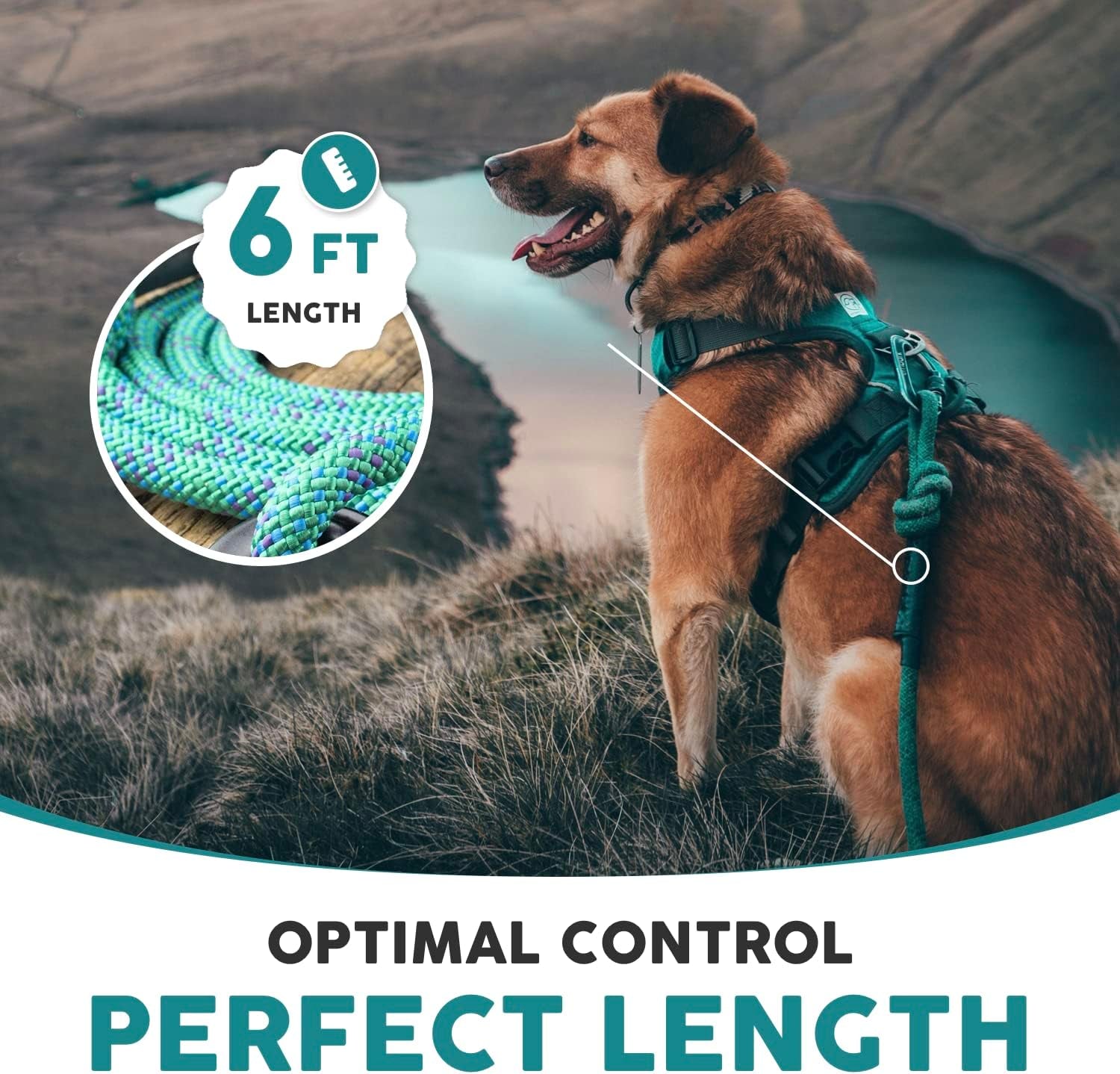 Embark Adventure Pro Leash with Mountain Climbing Rope and Carabiner. Unmatched Strength & Durability, 6Ft, Colourful, and Sturdy Nylon Dog Leashes for Small, Medium, Large Breed Dogs